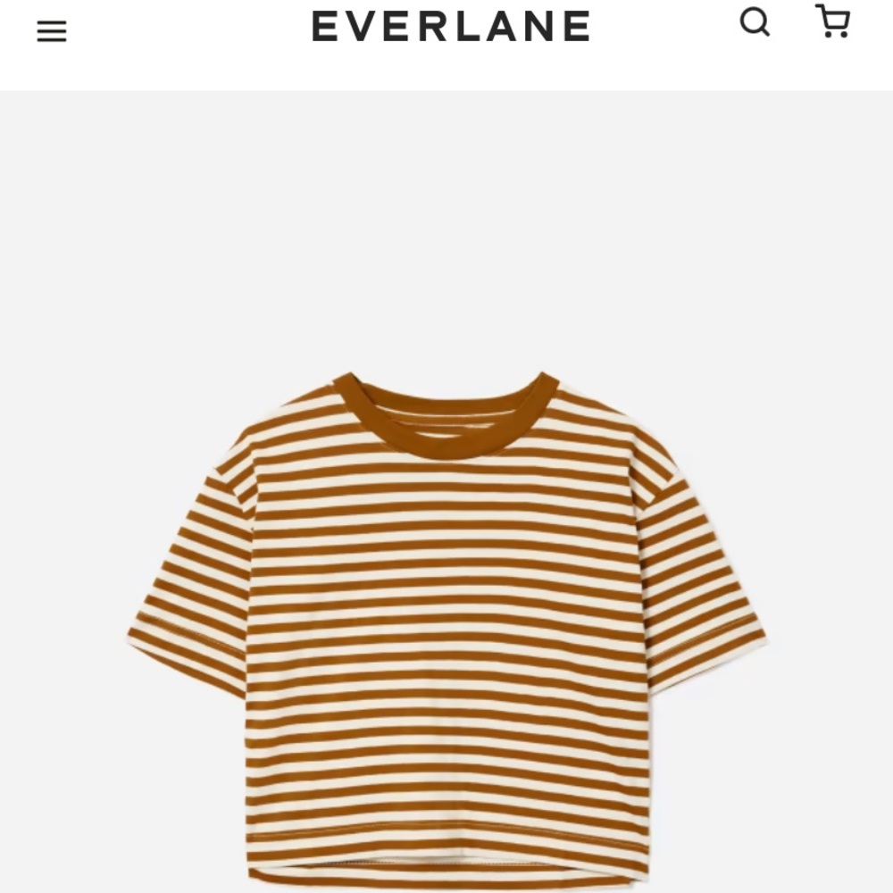 EVERLANE cropped boxy summer t-shirt. Women’s SIZE SMALL. brown stripe